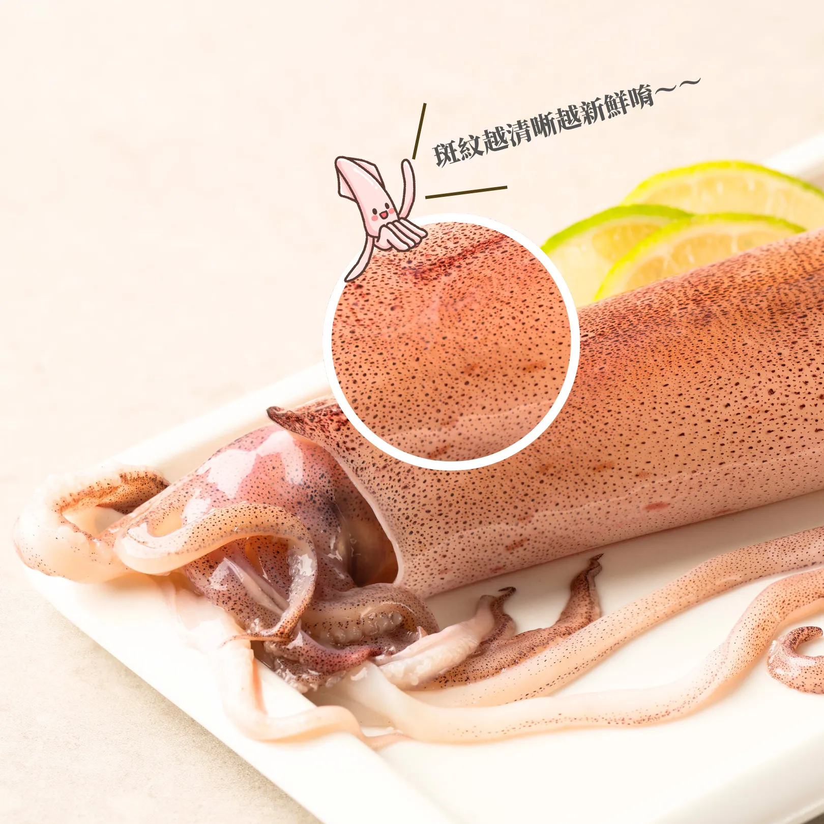 菲律賓透抽