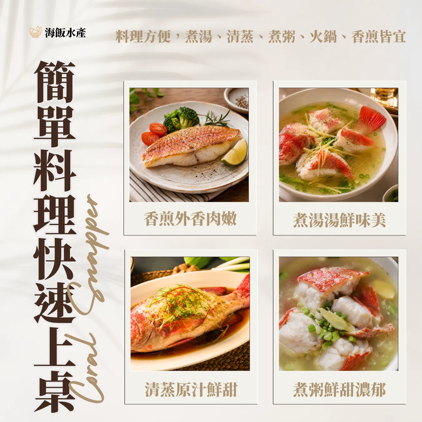 菲律賓紅鰷石斑