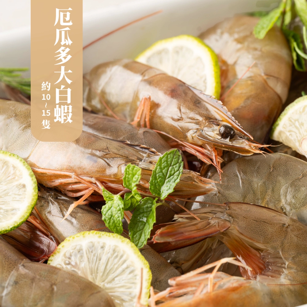 厄瓜多大白蝦